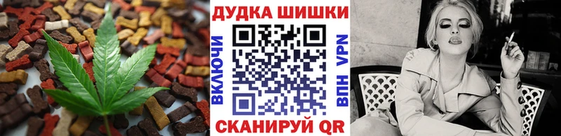 Купить где  Кизляр  Cannafood конопля 