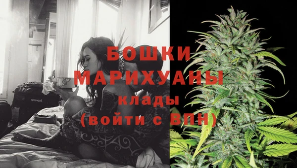 молекула духа Горнозаводск