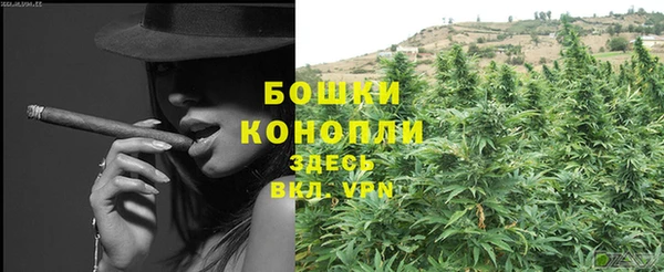 молекула духа Горнозаводск