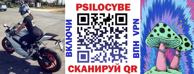 Купить где  Кизляр  Псилоцибиновые грибы GOLDEN TEACHER 